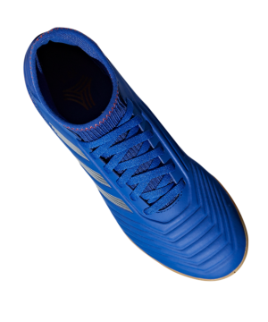 Adidas Predator 19.3 IN J Halle Dětské – Modrý Siliver(shinei
